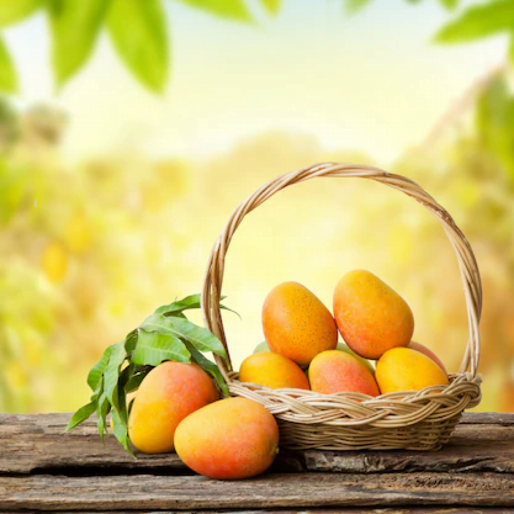 mango-tropical-fruit-basket