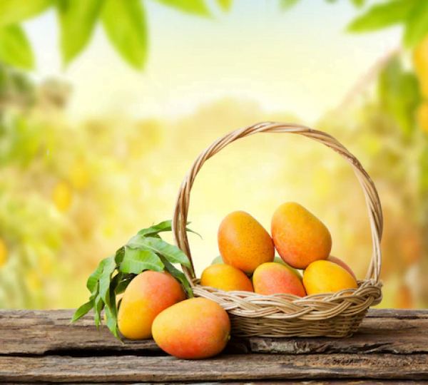 mango-tropical-fruit-basket