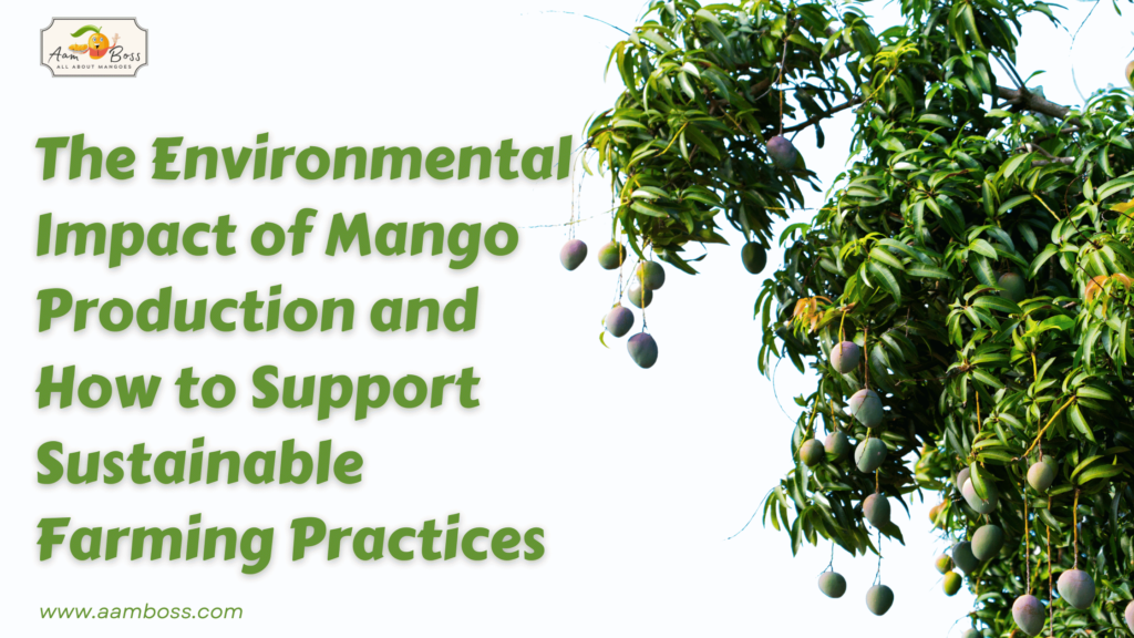 The Environmental Impact of Mango Production and How to Support Sustainable Farming Practices